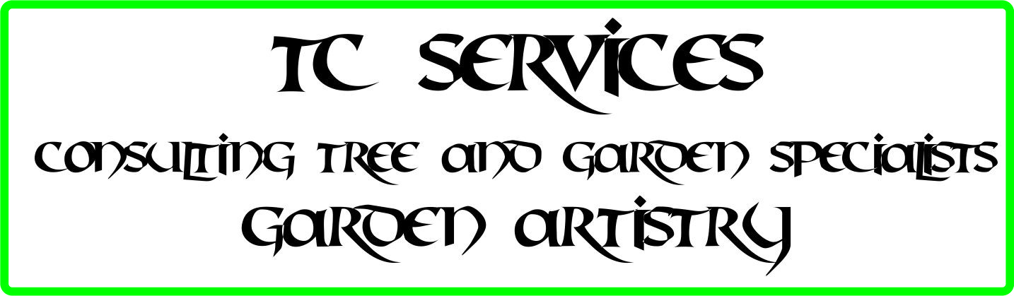 TC Services